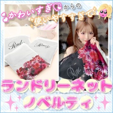 Rady - Rady 洗濯ネット バラ売り不可 Rady - Rady 洗濯ネット バラ売り不可の通販 by 〜｜レディー