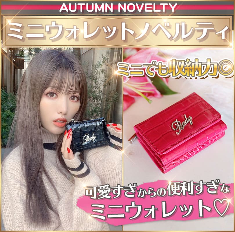 Radyミニウォレットノベルティスタート・:*+.(( °ω° ))/.:+超