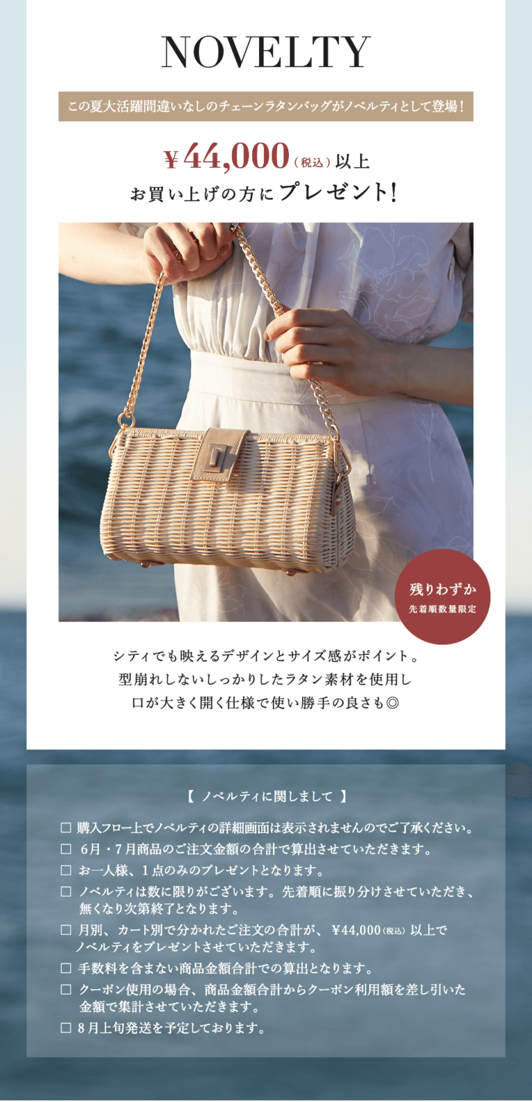 本物の商品一覧 eimy istoire 受注会 エキシビション ノベルティ BAG