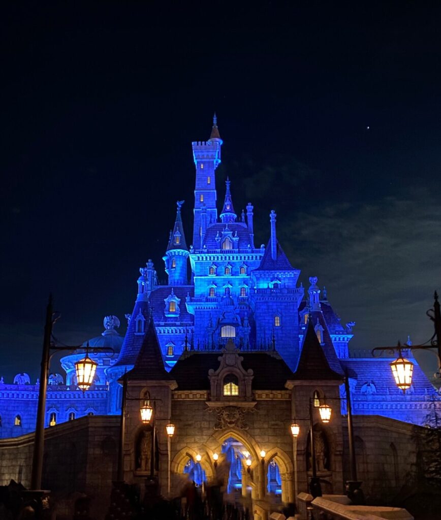 ディズニーランドのチケットで詐欺にあいかけた話 Ms2300blog