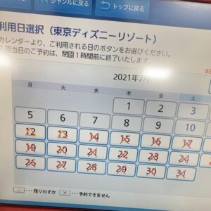 ディズニーランドのチケットで詐欺にあいかけた話 Ms2300blog