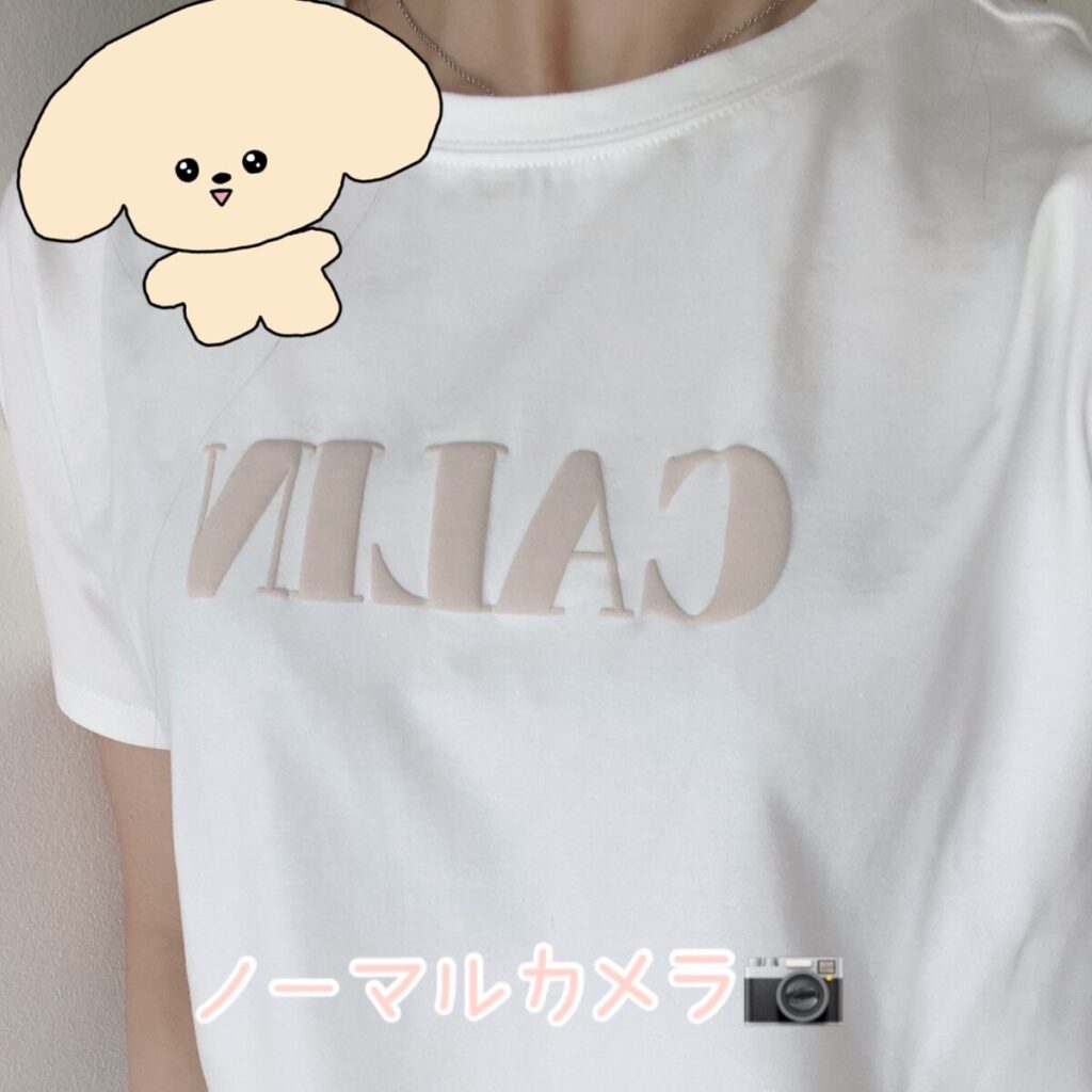ミシェルマカロン購入品「フロントロゴTシャツ」の着心地や